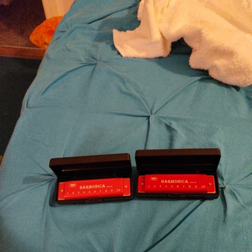 New swan harmonica hole - harmonica,