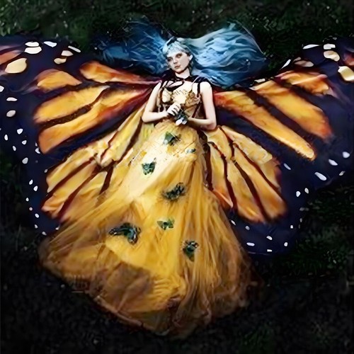 Butterfly wings cloak shawl - cloak,