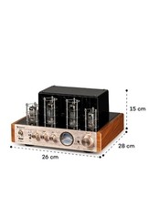 Tube Amplifier Power Valve