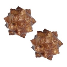 Handball for Health Meridian