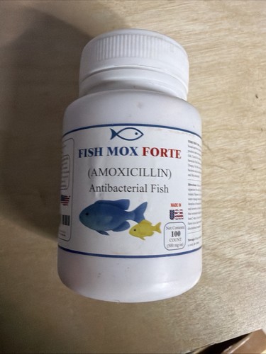 For fish aquariums - fish,