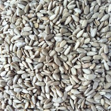 Sunflower hearts kernels - sunflower,