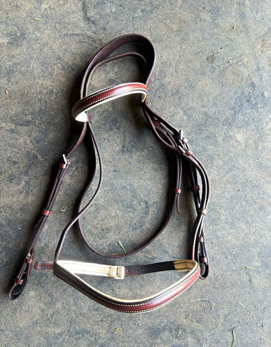 Stubben leather bridle horse