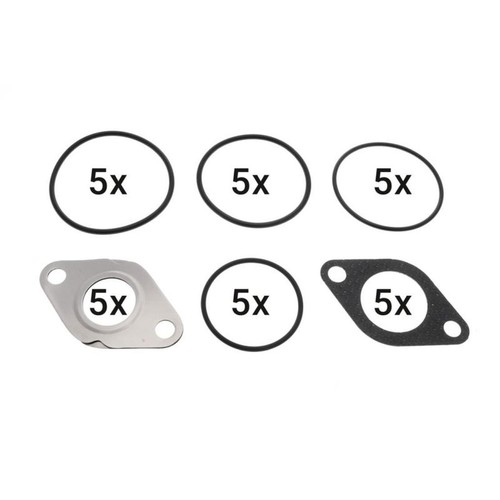 Egr valve gasket set - valve, fits