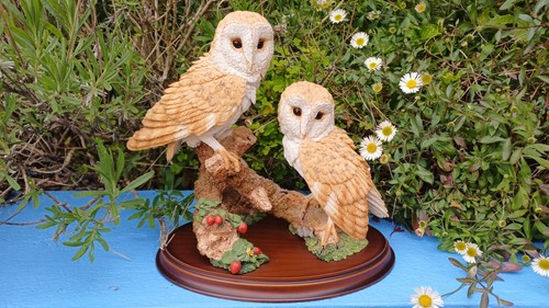 Country artists barn owl - artists, pair
