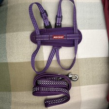 EZYDOG Dog PURPLE QUICK FIT HARNESS - X-Small And Lead