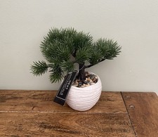 NEXT Botanicals Mini Bonsai Tree Artificial Faux Flowers Plant - BNWT