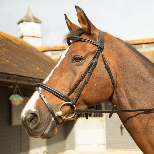 Elite training bridle - km,