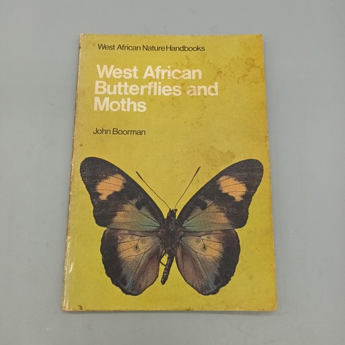 West african butterflies - butterflies, and