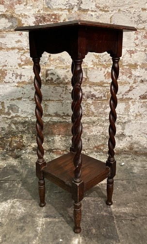Vintage oak plant - oak,