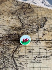 Wales Flag Pin Badge - Lapel