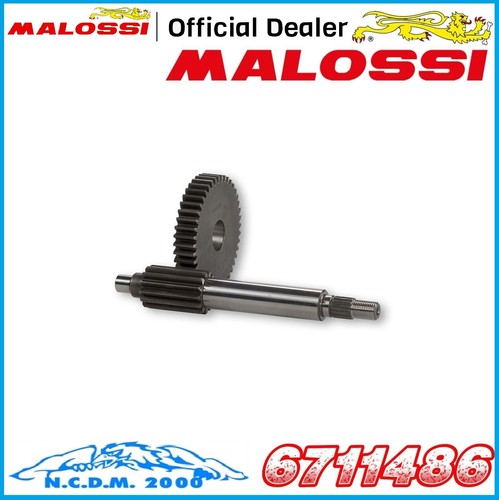 Primary gears malossi 42 - primary, 15/42
