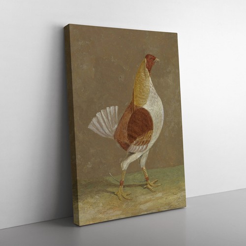 Fighting cock john frederick - fighting,