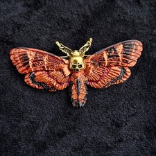 Gothic Death's-Head Hawkmoth