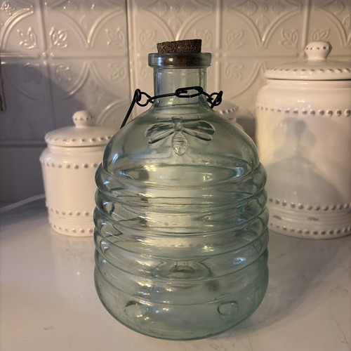 Glass beehive wasp - beehive, trap