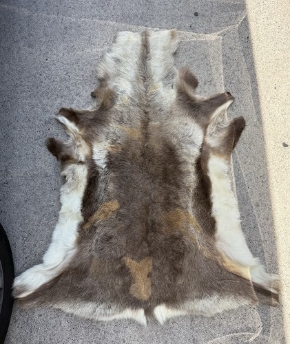 Genuine reindeer hide with - a,