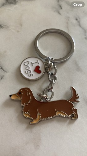 Dachshund sausage brown dog - dachshund,