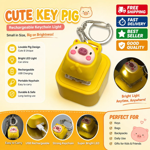 Toy key pig keychain - toy,
