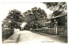 NORFOLK - VIEW AT DOWNHAM