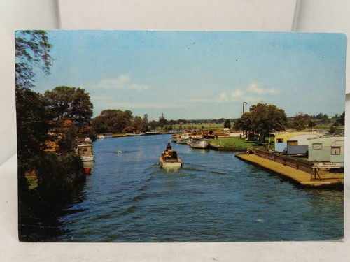 New vintage postcard - postcard, the