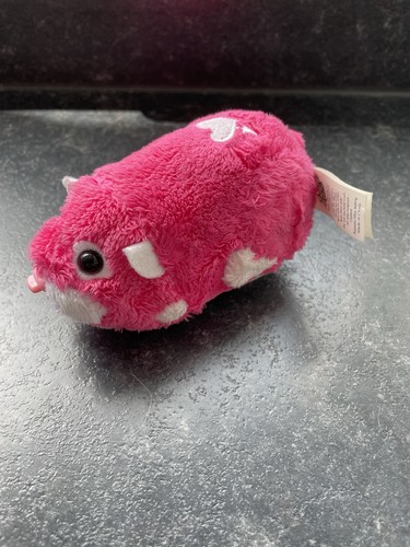 Zhu pets - zhu, hamster
