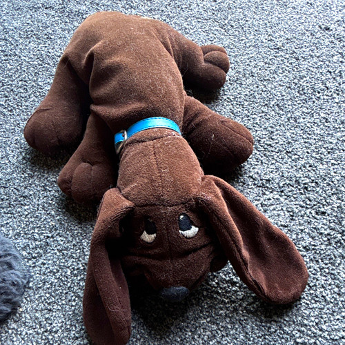 Pound puppies yappy - puppies,
