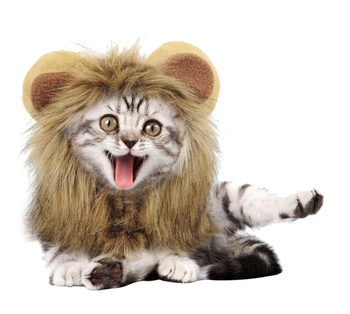 Funny pet cat costumes for - cat,