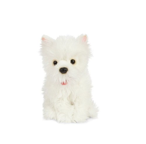 West highland terrier westie - highland,