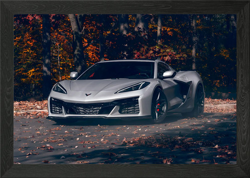Chevrolet corvette z06 framed - chevrolet,