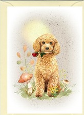 Poodle (Apricot) Dog (4"x 6")