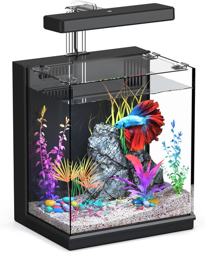 Betta fish tank gallon - tank,,