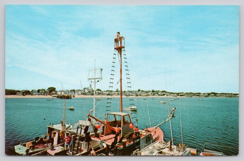 Provincetown harbor cape cod - provincetown,