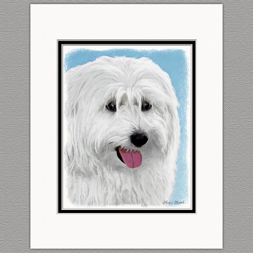 Polish lowland sheepdog - polish,