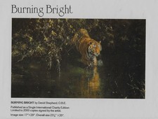 David Shepherd limited edition