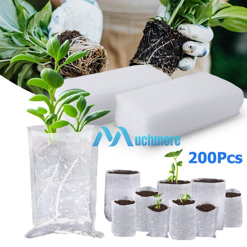 200x breathable plant - plant, grow