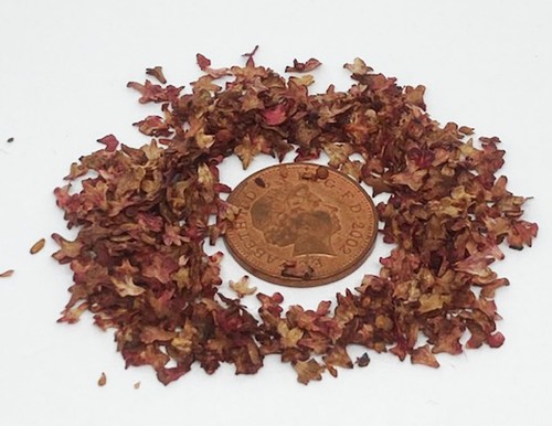 Dolls house scatter - house, of