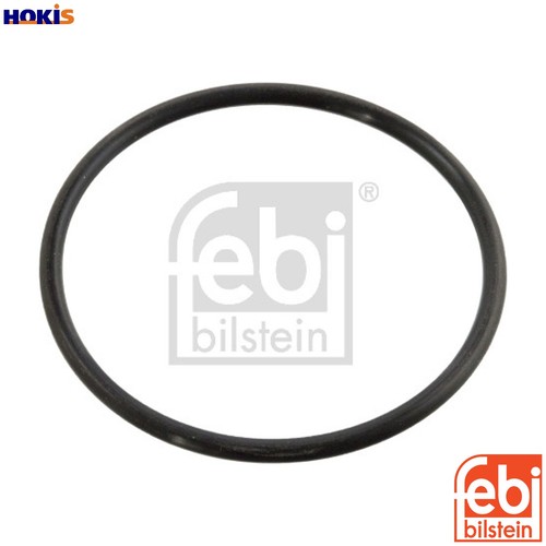 Seal thermostat 10258 for - 10258, om