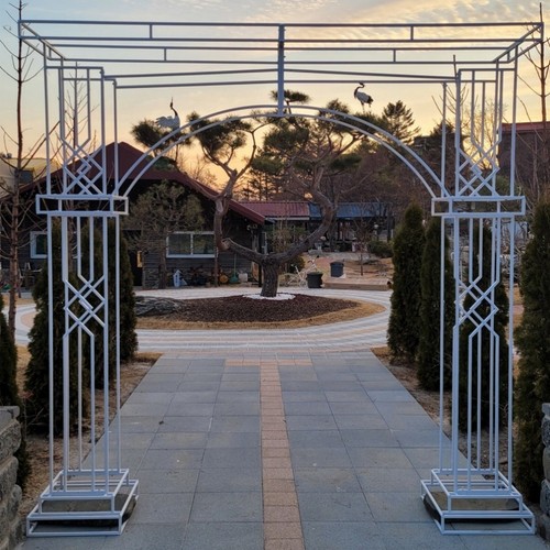 Extra large luxurious wedding - extra,