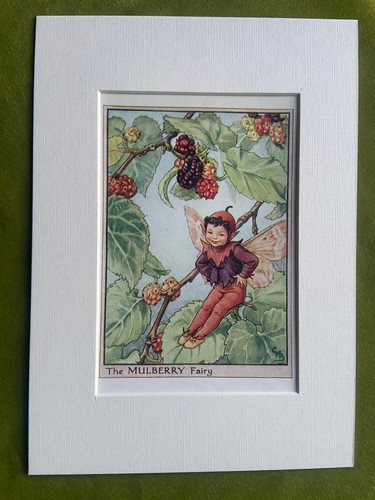 Mulberry flower fairy - flower,