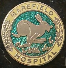HOSPITAL NURSES  BADGE