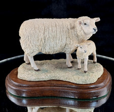 Border Fine Arts Texel Ewe