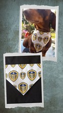 LEEDS UNITED  ⚽️  Dog