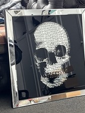 Crystal Skull Wall Art in