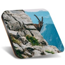 1x Square Coaster 12 cm -