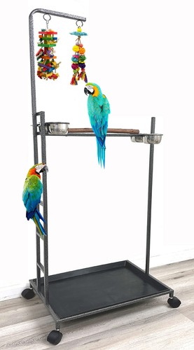 Large parrot bird play - x-large,