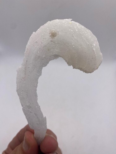 Rare ram horn selenite - rare,
