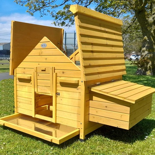 Betty chicken coop - run, hen
