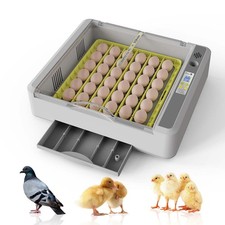 Egg incubator with - incubator,