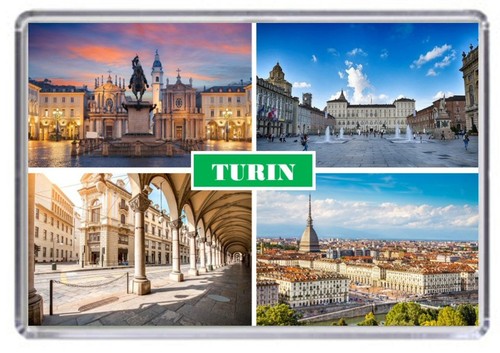 Turin italy fridge magnet - turin,