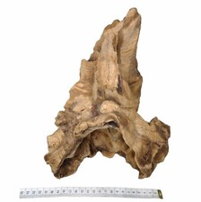 Large Decorative Wood Bogwood - Aquariums or Vivariums or Terrarium 